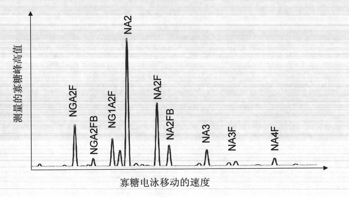 Reagent for liver cancer monitoring, staging and prognosis risk assessment and method thereof