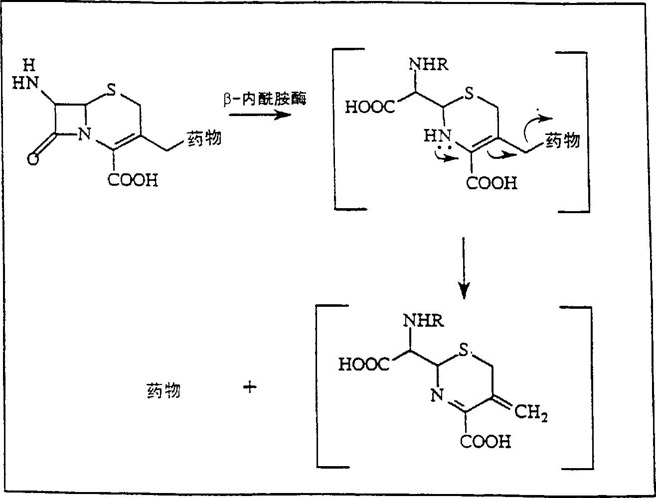 Pharmaceutical compositions contg. anti-body-enzyme conjugates in combination with prodrugs