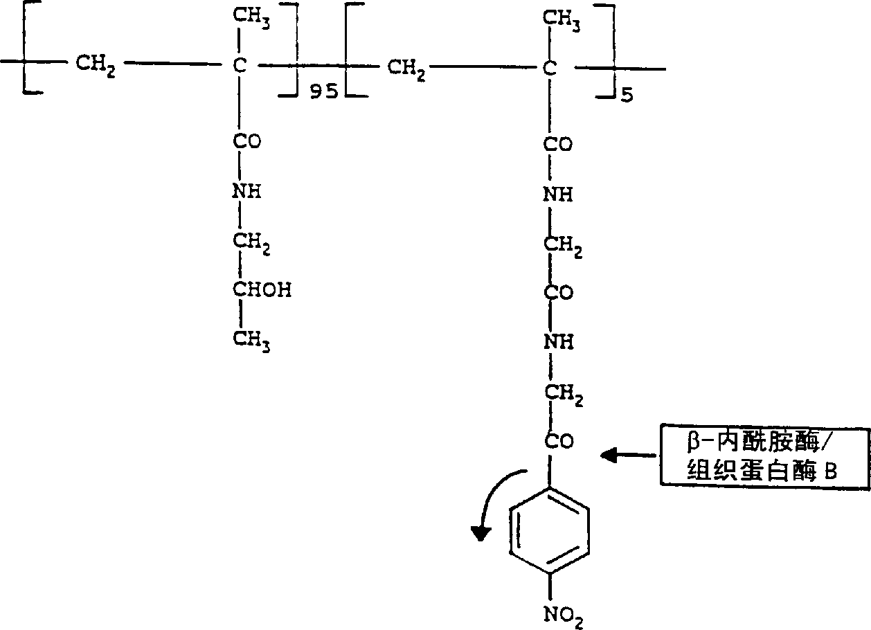 Pharmaceutical compositions contg. anti-body-enzyme conjugates in combination with prodrugs