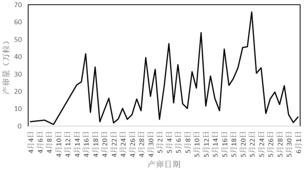 Method for regulating natural spawning of parent fish of seriola aureovittata