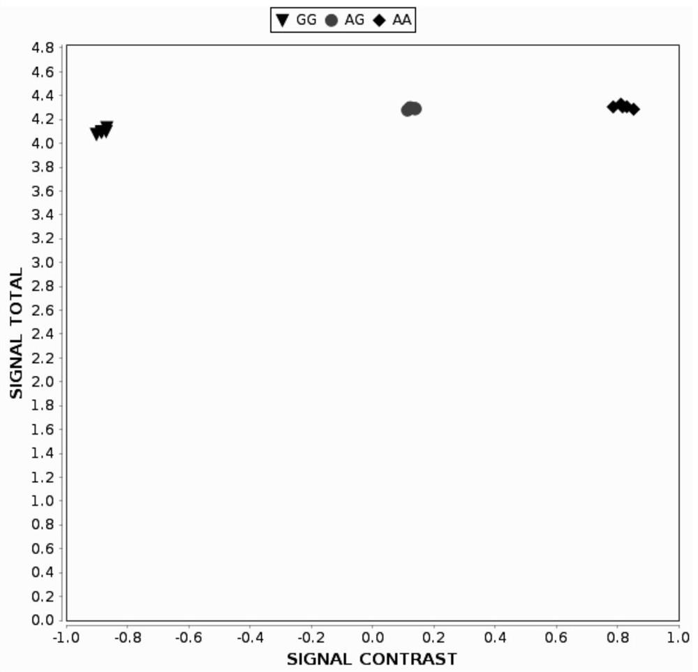 Two Molecular Markers Developed Based on the Linkage Genes of Resistance to Dwarf Blight and Their Applications