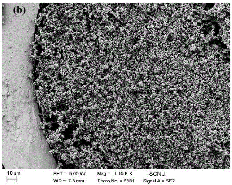 Preparation method for organic/inorganic hybrid quartz capillary monolithic column modified by single-chain DNA nucleic acid aptamer