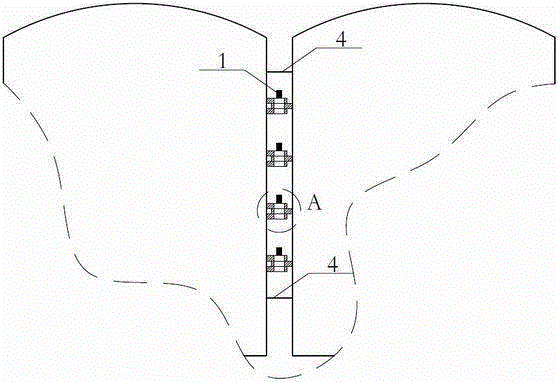 Novel passenger transport rail transit system