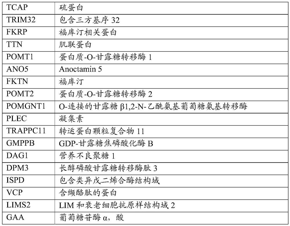 PEPTIDE-MODIFIED HYBRID RECOMBINANT ADENO-ASSOCIATED VIRUS SEROTYPE BETWEEN AAV9 AND AAVrh74 WITH REDUCED LIVER TROPISM AND INCREASED MUSCLE TRANSDUCTION