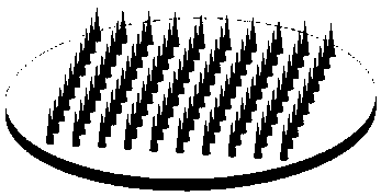 Immediately-release haemophilus Type B conjugate vaccine soluble microneedle and preparation method thereof