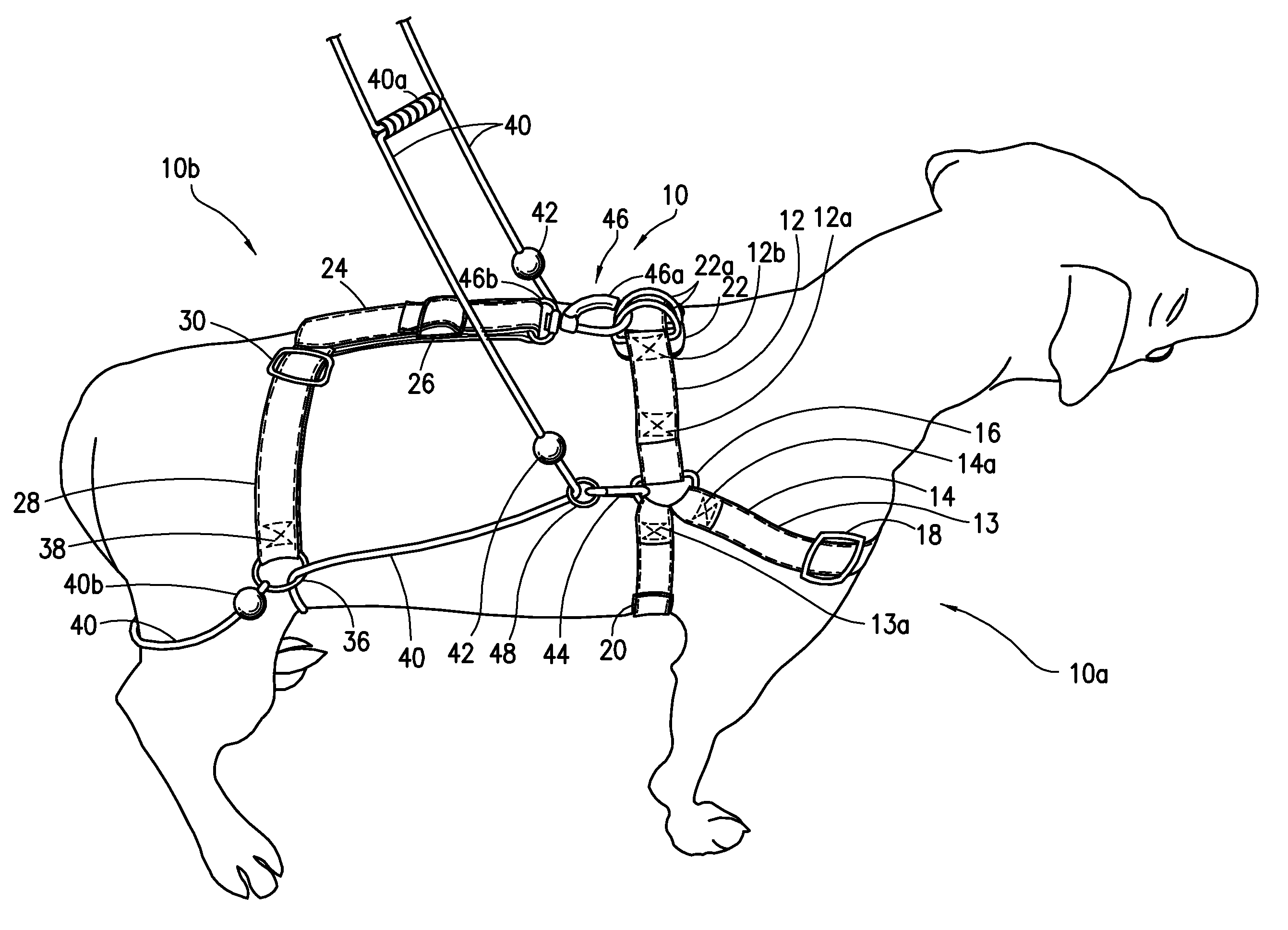 Motion control harness for a medium to large dog