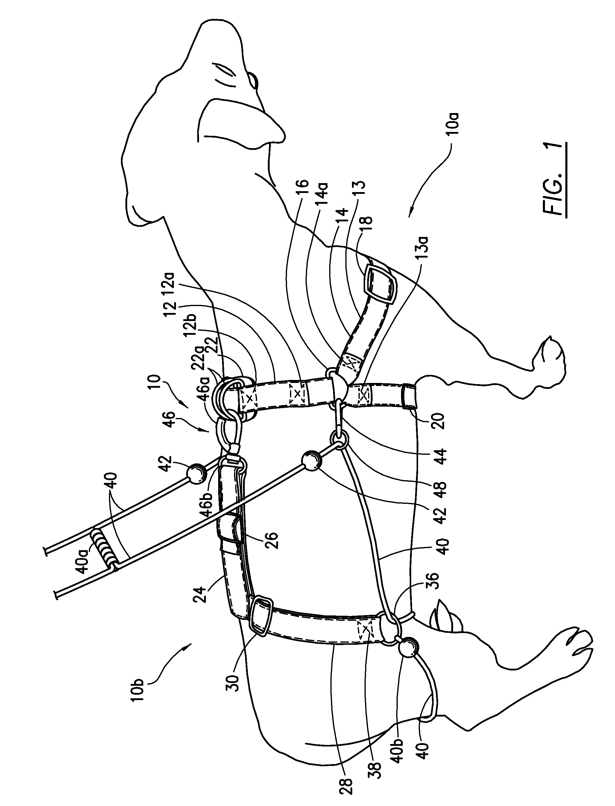 Motion control harness for a medium to large dog