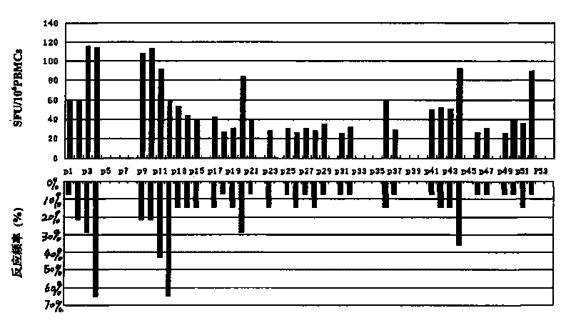 Soluble liver antigen T cell epitope and detection kit prepared thereof