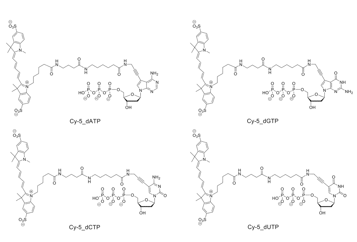 Process for cognate nucleotide detection in a nucleic acid sequencing workflow