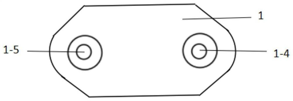 Muscle bone cell energy plate and application