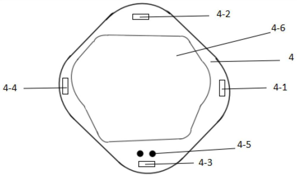 Muscle bone cell energy plate and application