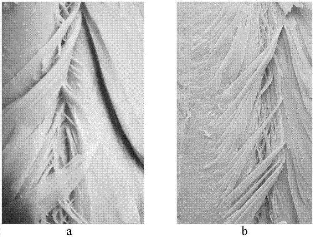 Method for improving quality of high-moisture peanut drawing protein by TG enzyme