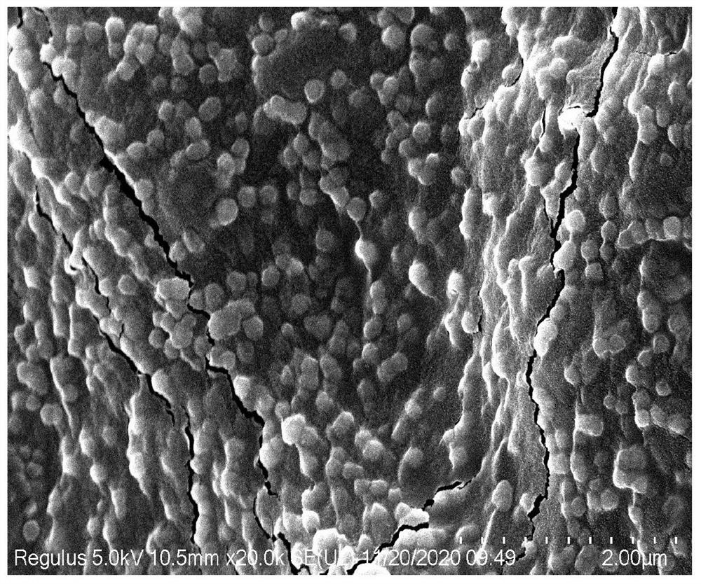 Method for preparing multifunctional sodium alginate stent embedded with drug-loaded microspheres by using 3D printing technology based on in-situ emulsification