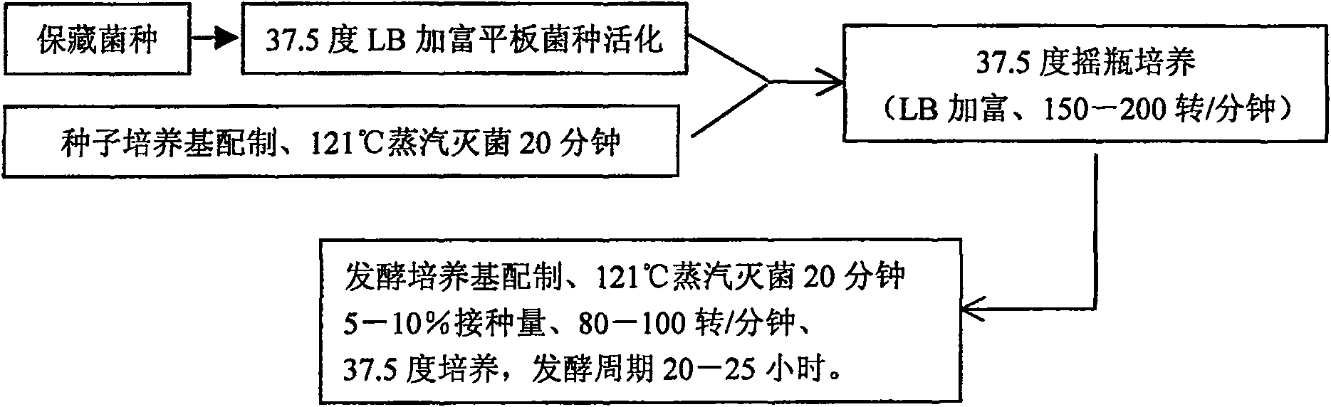 K3 bacterial strain capable of dissolving calcium phosphate in soil and organic microbial fertilizer therewith