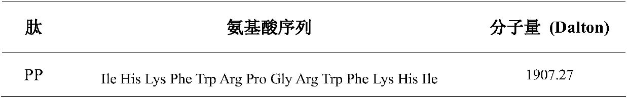 Symmetrical-terminals antibacterial peptide PP and preparation method and application thereof