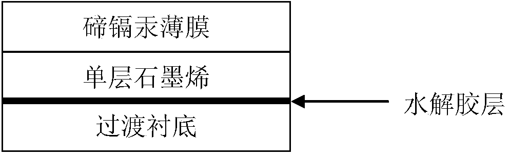 Preparing method of transferable Te-Cd-Hg film