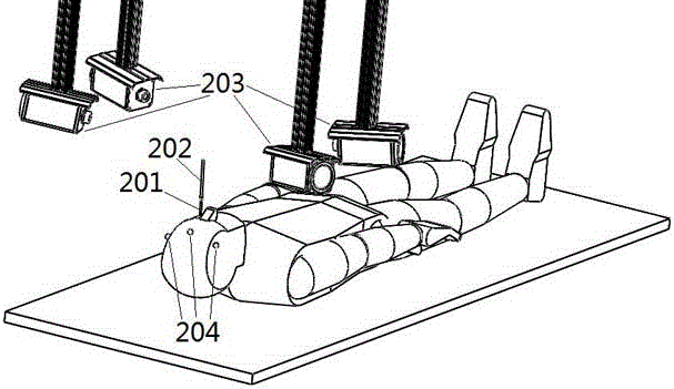 Image guided seed implantation system based on camera