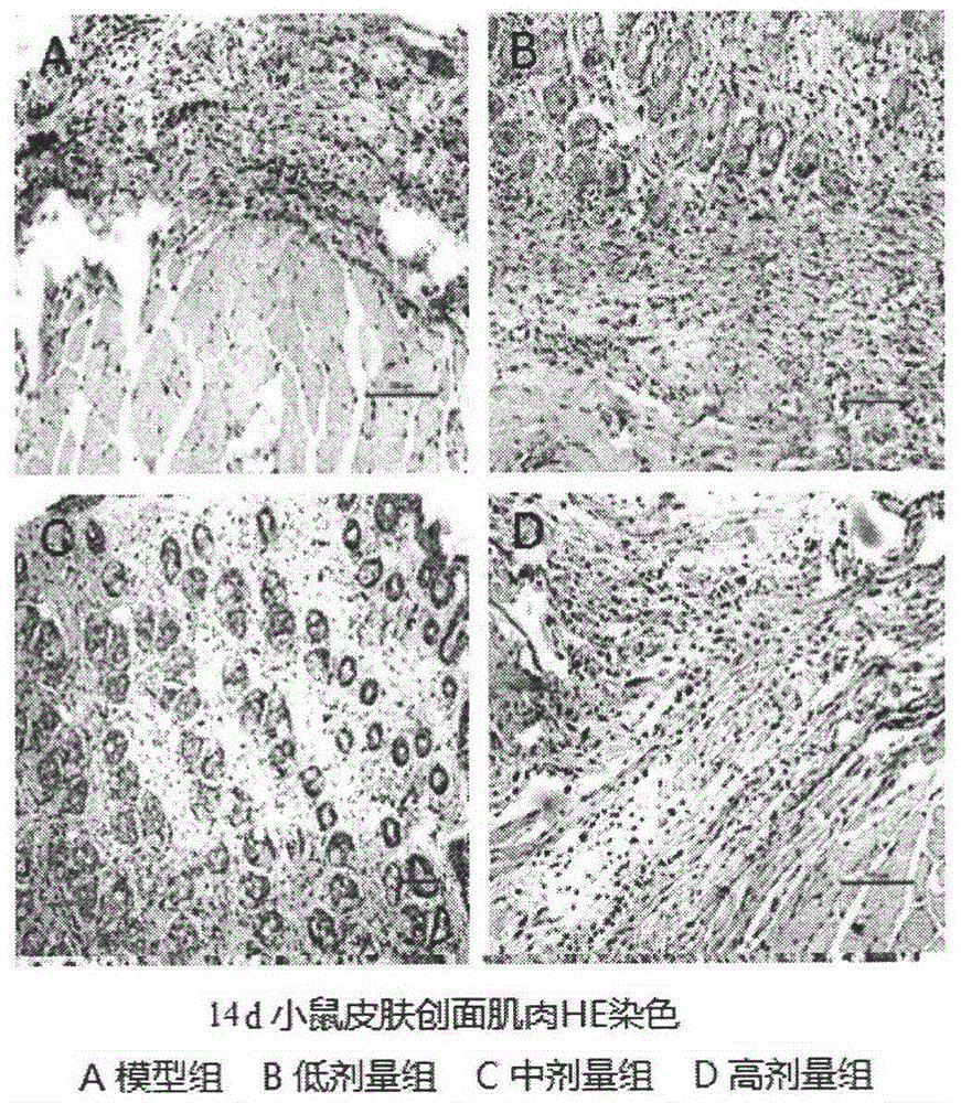 Use of novel amine compound modified protoporphyrin