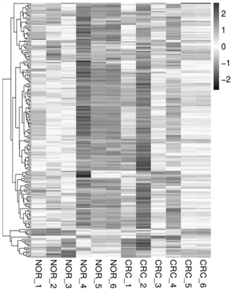 A diagnostic biomarker for colorectal cancer and its application