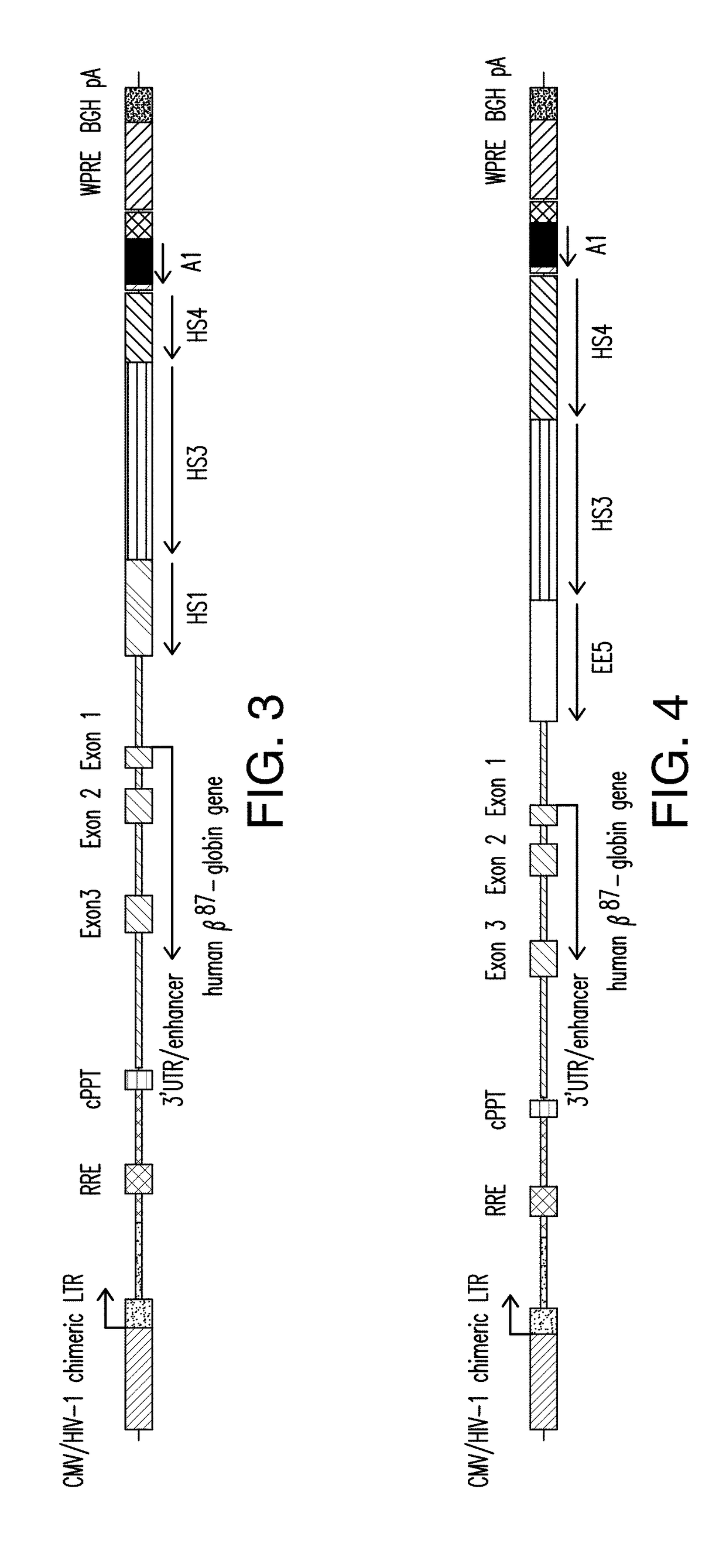 Globin gene therapy for treating hemoglobinopathies