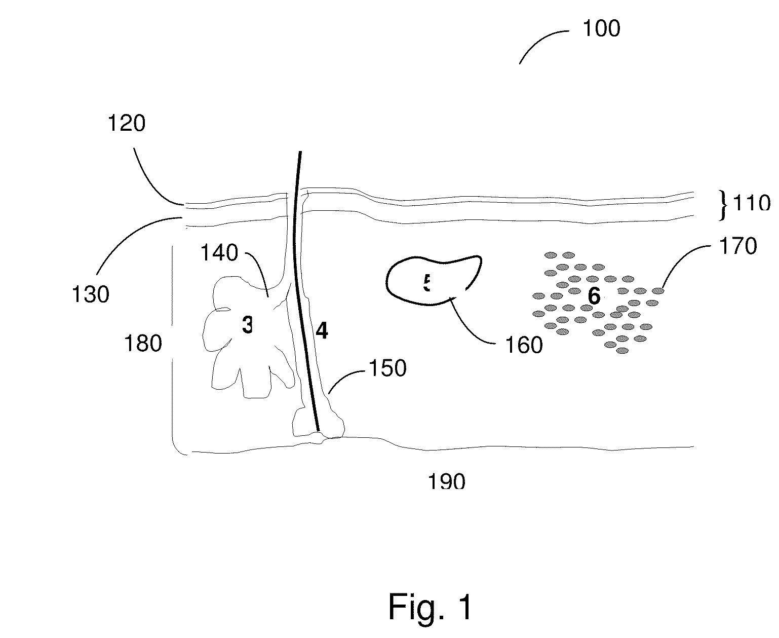 Method and apparatus for optical inhibition of photodynamic therapy