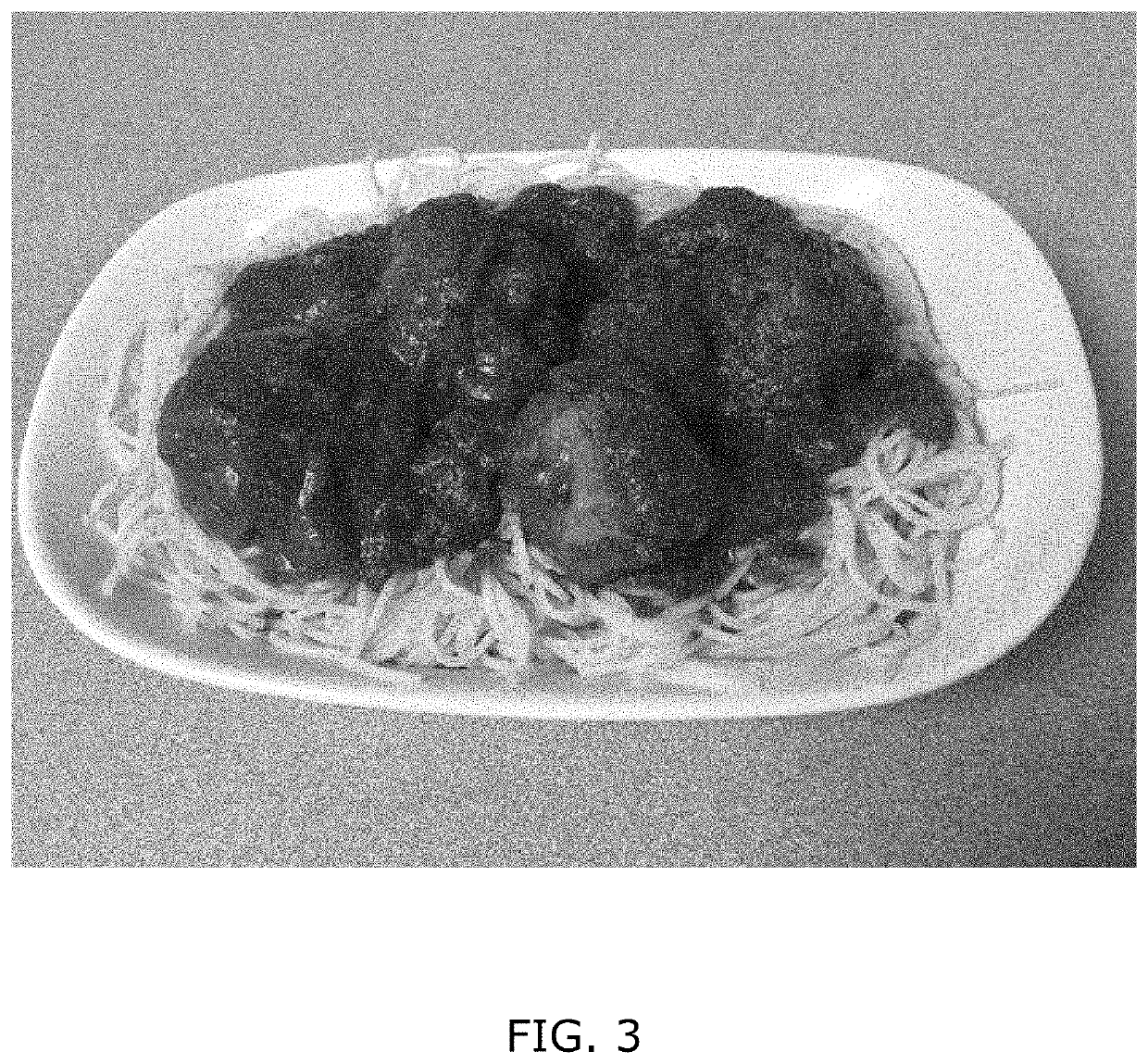 Protein Compositions for Plant-Based Food Products and Methods for Making