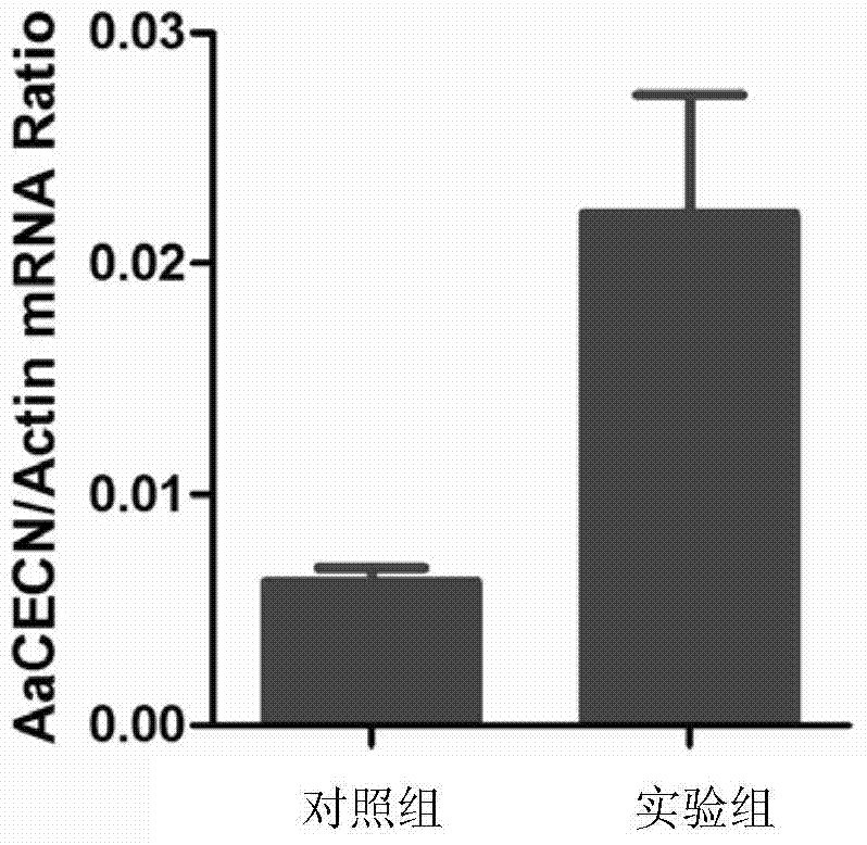 Cecropin obtained from Aedes aegypti and its coding gene and application