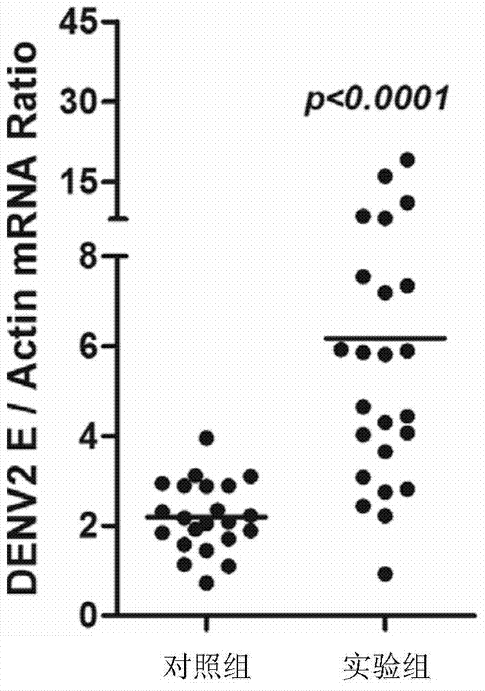 Cecropin obtained from Aedes aegypti and its coding gene and application