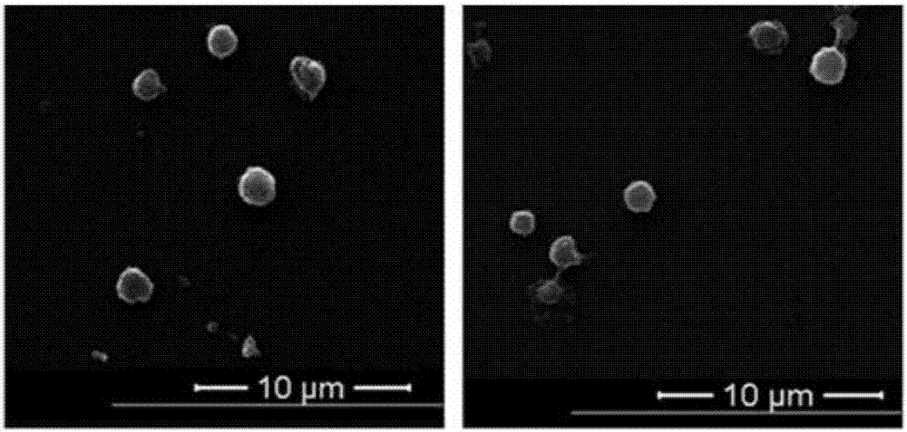 Preparation method of lymphoma-targeted blood platelet targeting drug loading system carrying and loading anti-tumor drug and connecting CD22 monoclonal antibody