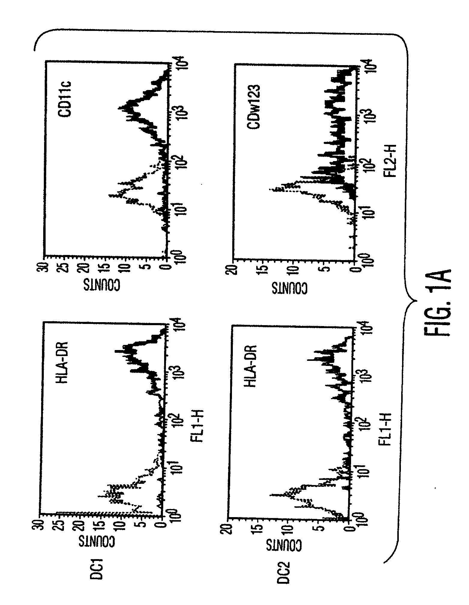 Mesenchymal stem cells and uses therefor