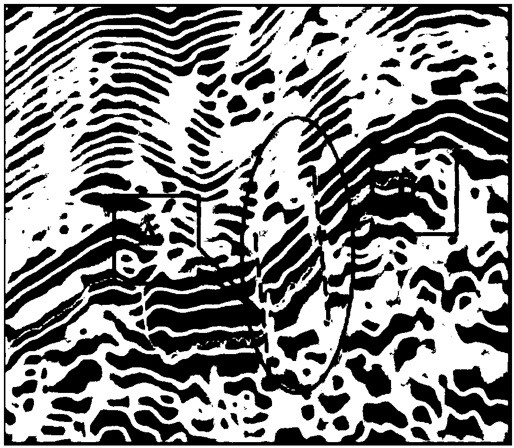 Seismic data optimization method and system for high-precision seismic coherence attributes