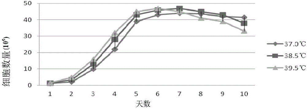 Natural passage cell line for lamb testis sertoli cells and application of natural passage cell line to separate culture and proliferation of goatpox viruses