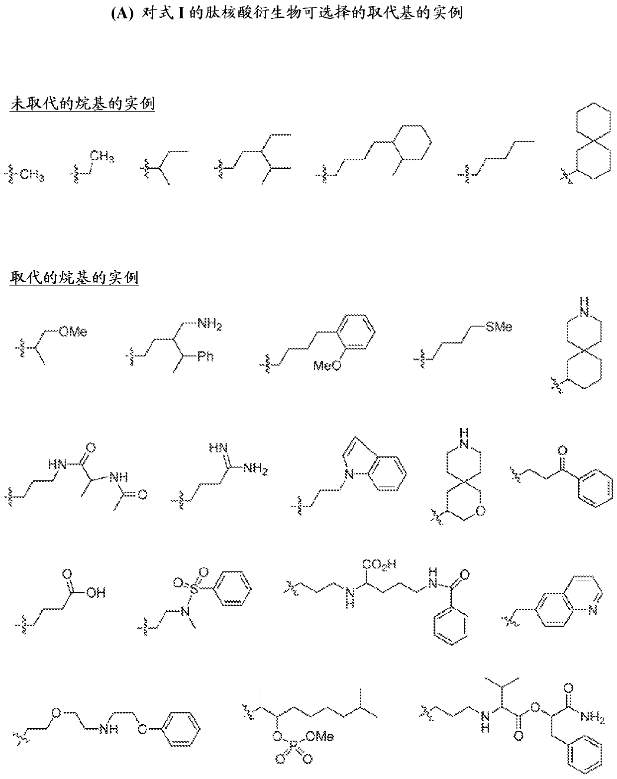 Androgen receptor antisense oligonucleotides