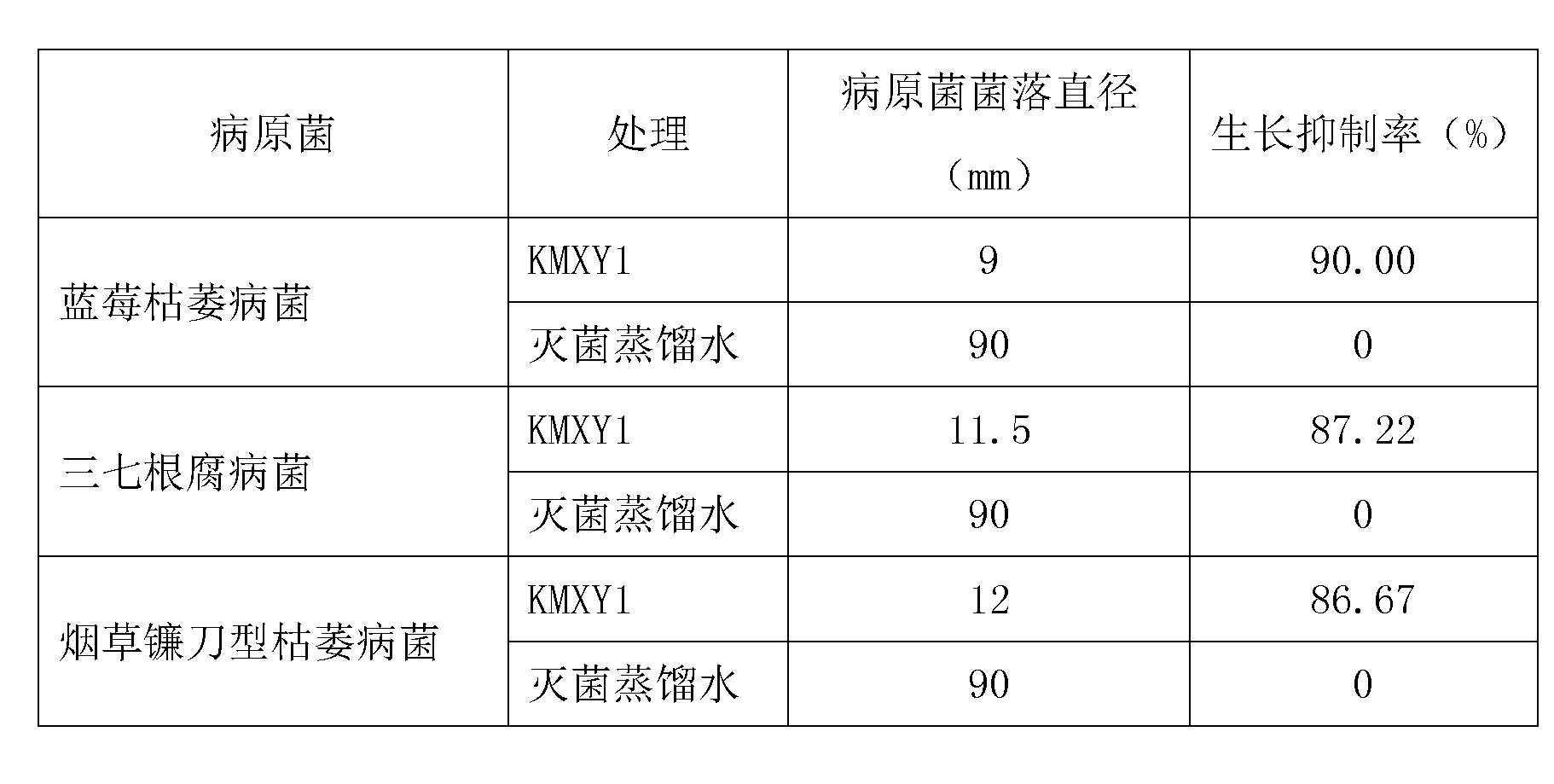 Biocontrol strain KMXU1 capable of preventing and treating blueberry blight and antibiological inoculant thereof