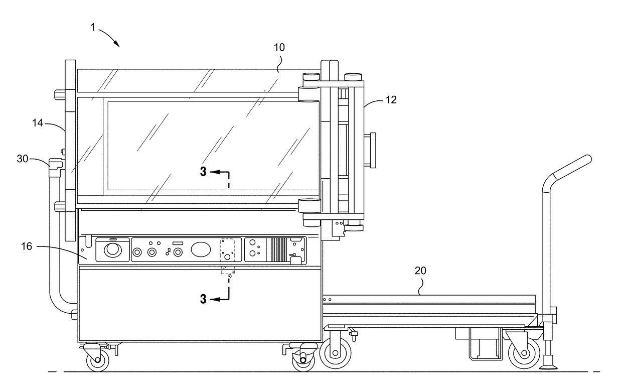 Method and apparatus for administering supplemental oxygen therapy at ambient conditions using a veterinary hyperbaric chamber