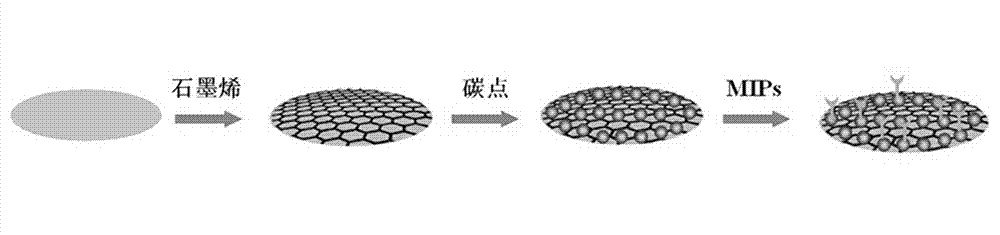 Preparation method and application of molecular imprinting electroluminescent sensor for detecting trace veterinary drug residue by taking battery as power