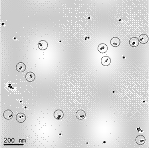 Polymerase chain reaction based chiral gold dimer controllable assembly method