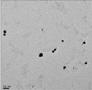 Polymerase chain reaction based chiral gold dimer controllable assembly method