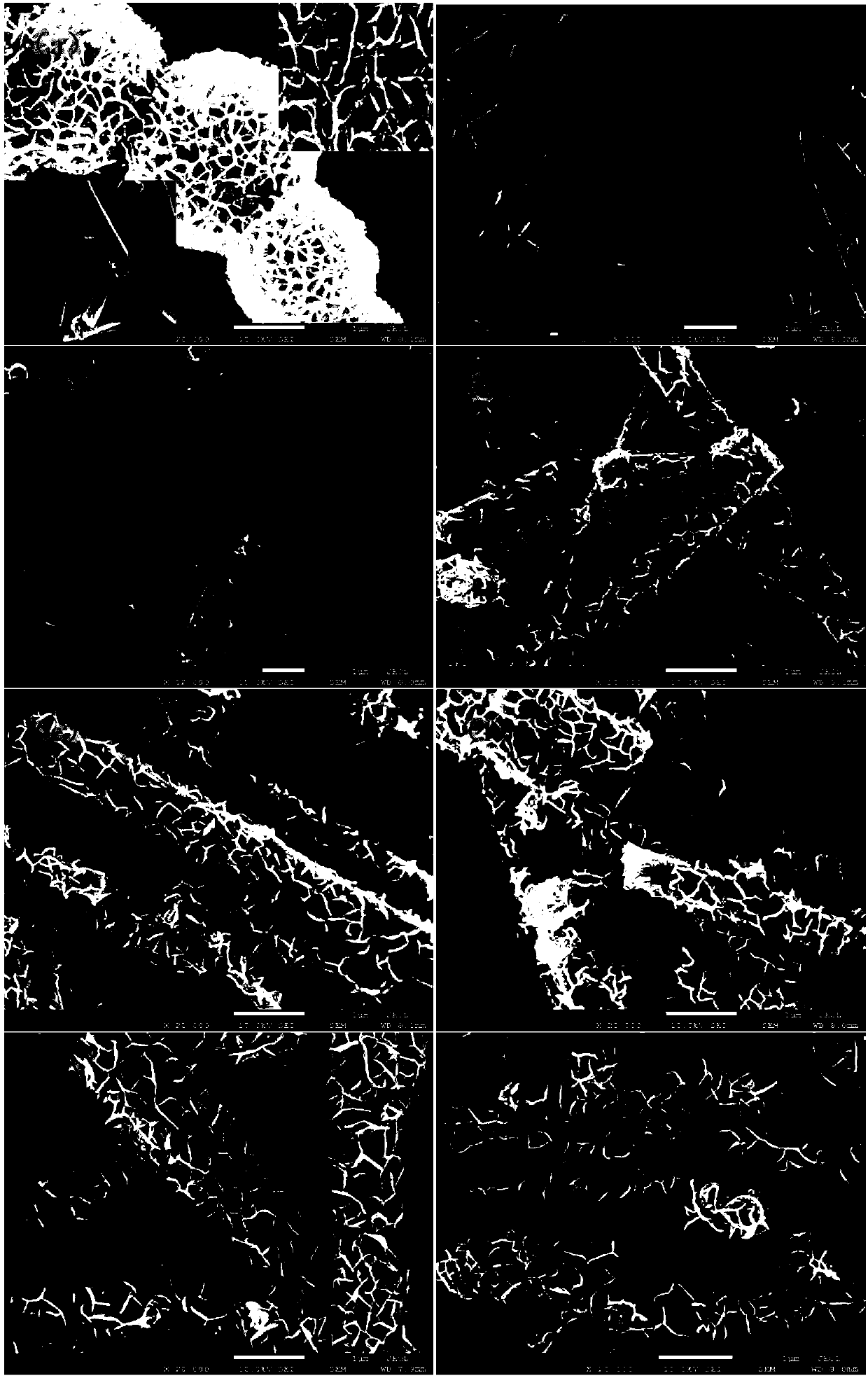 Preparation method of indium zinc sulfide and titanium dioxide heterojunction nano material