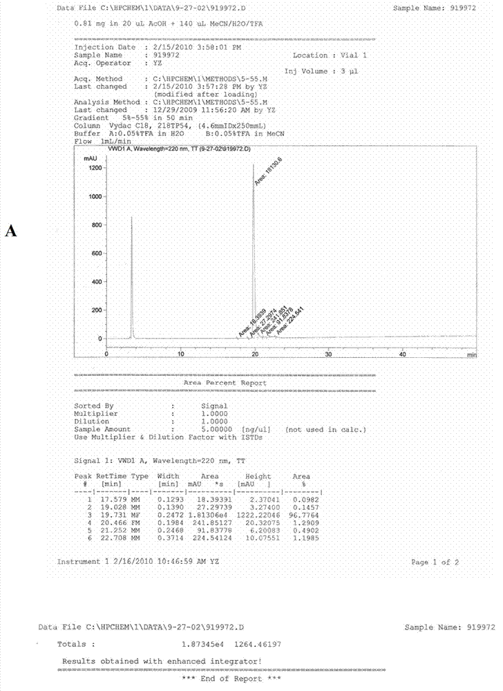 Cancer cell-targeting structural molecule and use thereof