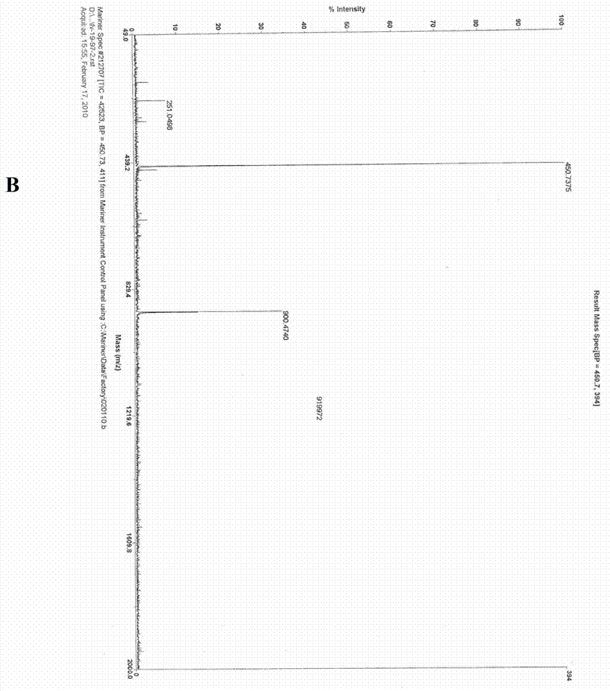 Cancer cell-targeting structural molecule and use thereof