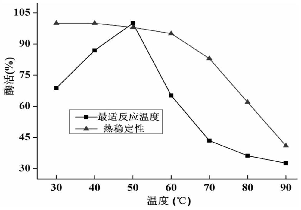 Chitin deacetylase gene, chitin deacetylase and preparation method and application of chitin deacetylase