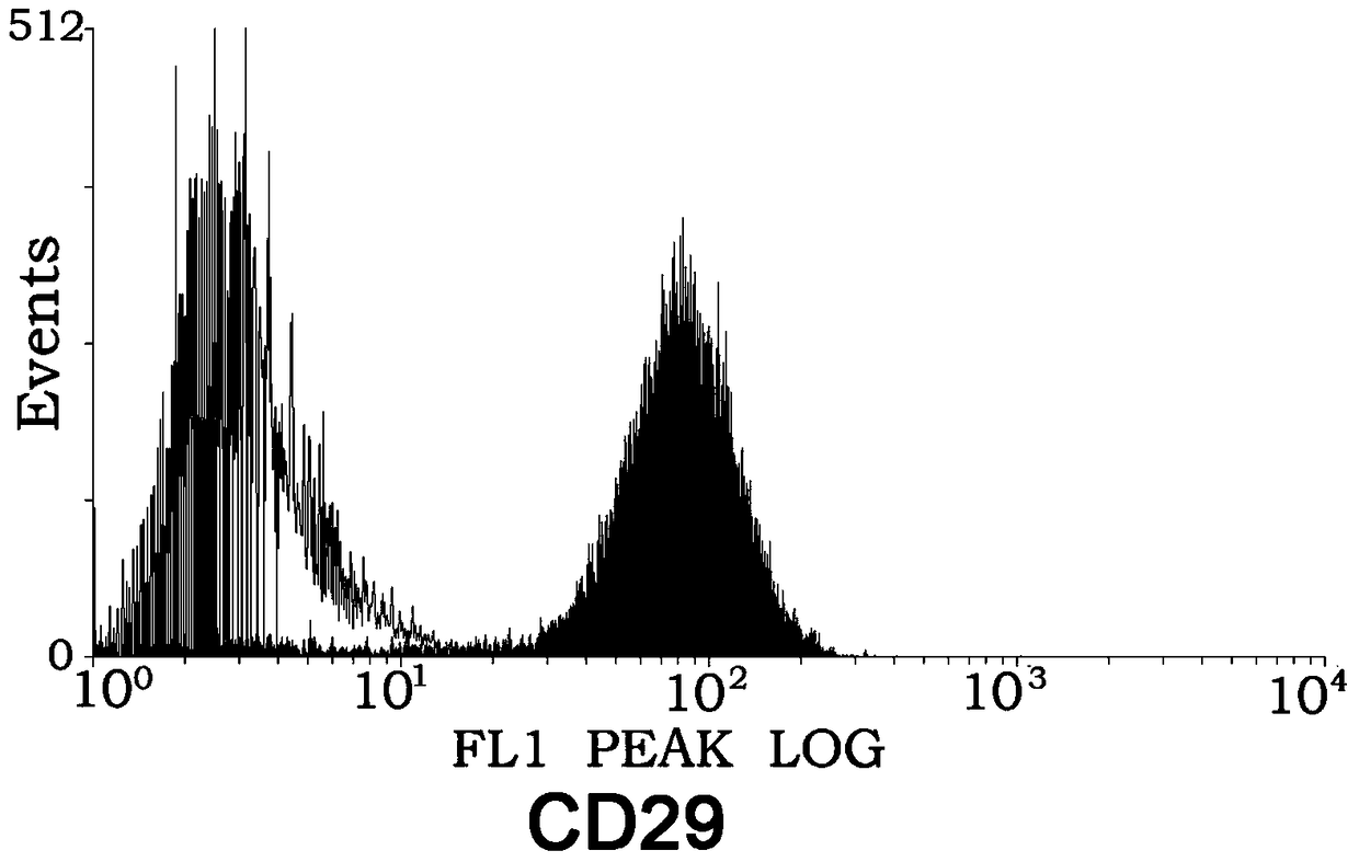 Method for enhancing chemotactic ability of mesenchymal stem cells and expression of chemokine ccl5