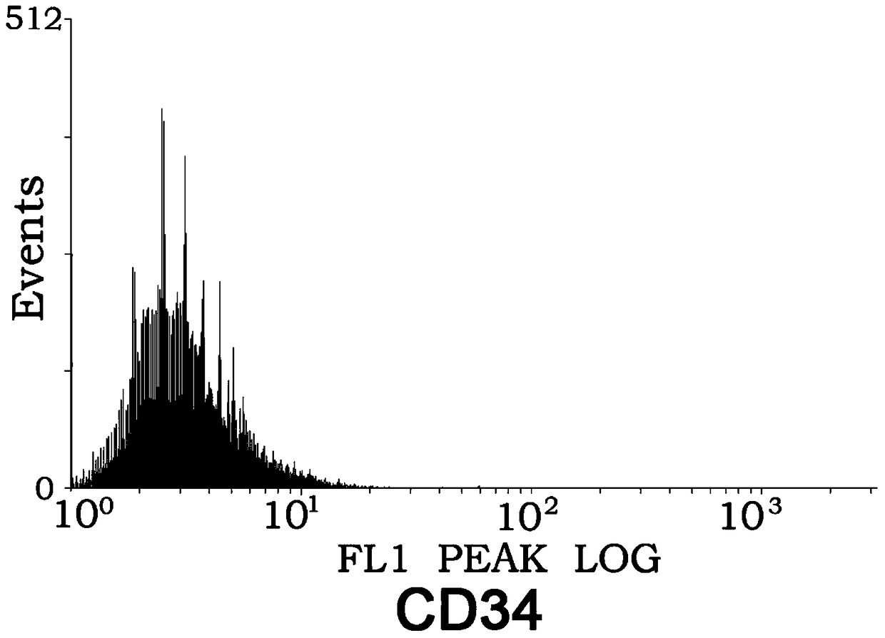 Method for enhancing chemotactic ability of mesenchymal stem cells and expression of chemokine ccl5