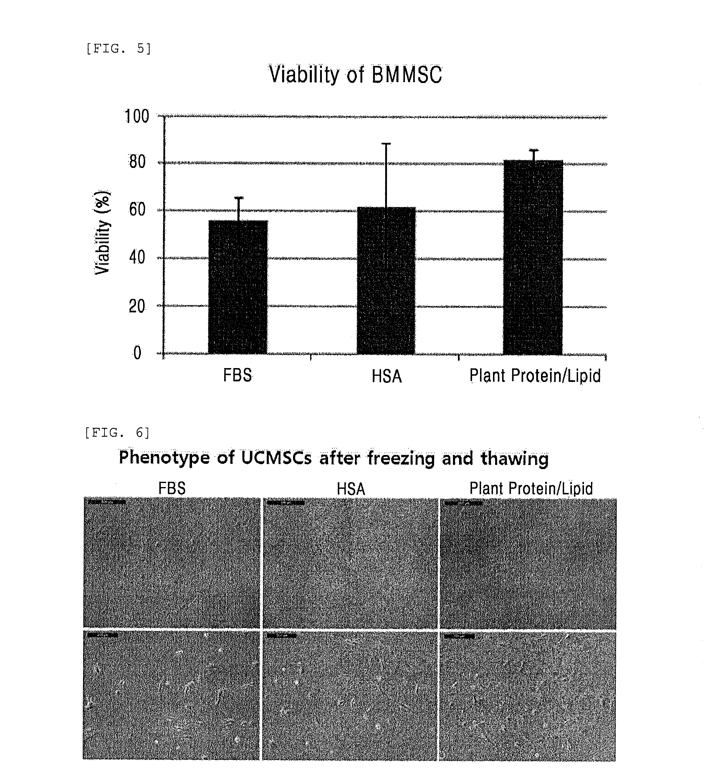 Composition comprising plant-derived recombinant human serum albumin, lipids, and plant protein hydrolysates as active ingredients for cryopreservation of stem cells or primary cells