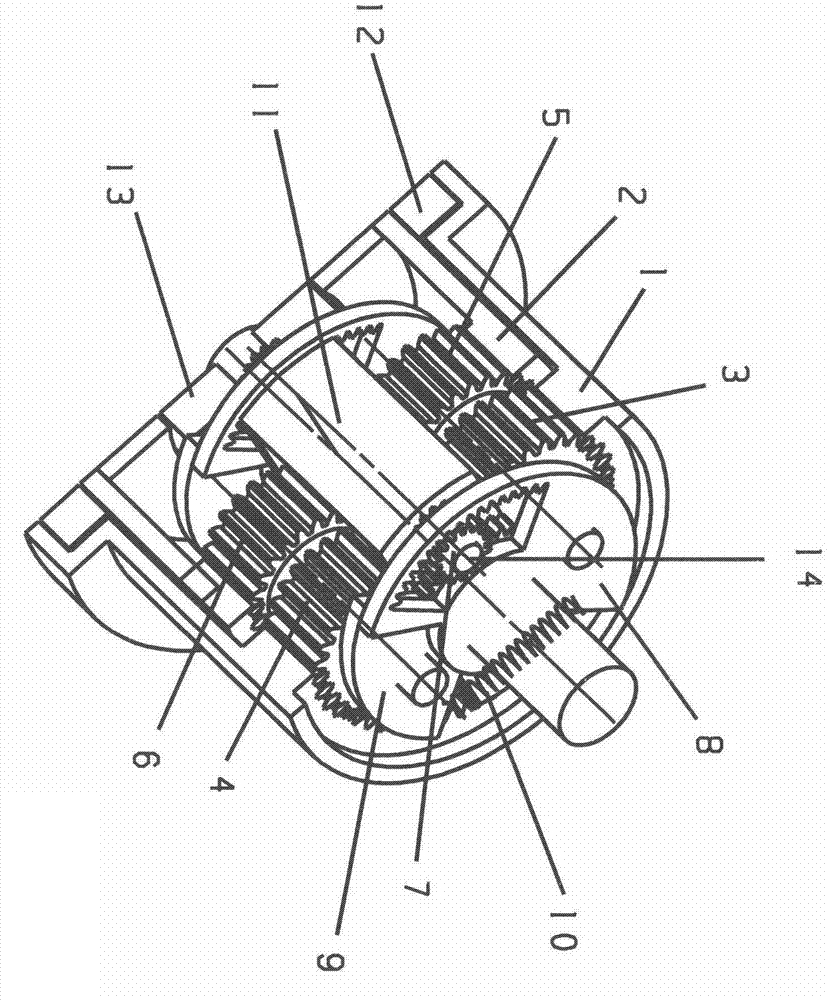 Prepressing compensation anti-backlash speed reducer