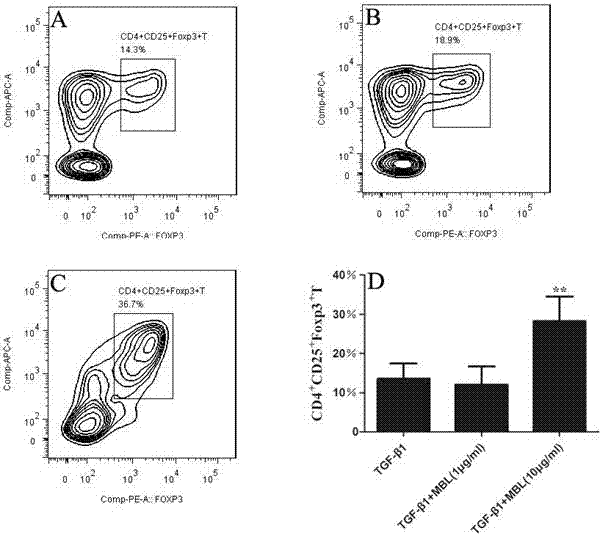 Application of MBL in preparing drug for preventing or treating disease taking Tregs as target spot