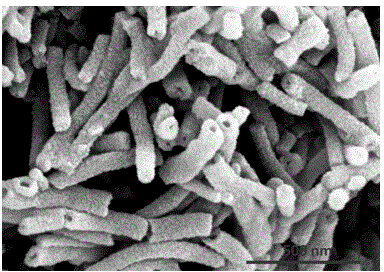 Method for synthesizing polyaniline nanotubes