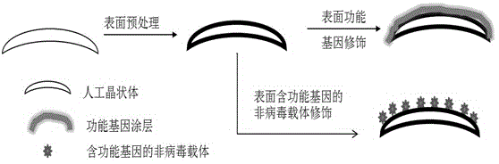 Surface-mediated gene therapy type artificial lens and preparation method for same