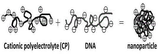 Surface-mediated gene therapy type artificial lens and preparation method for same